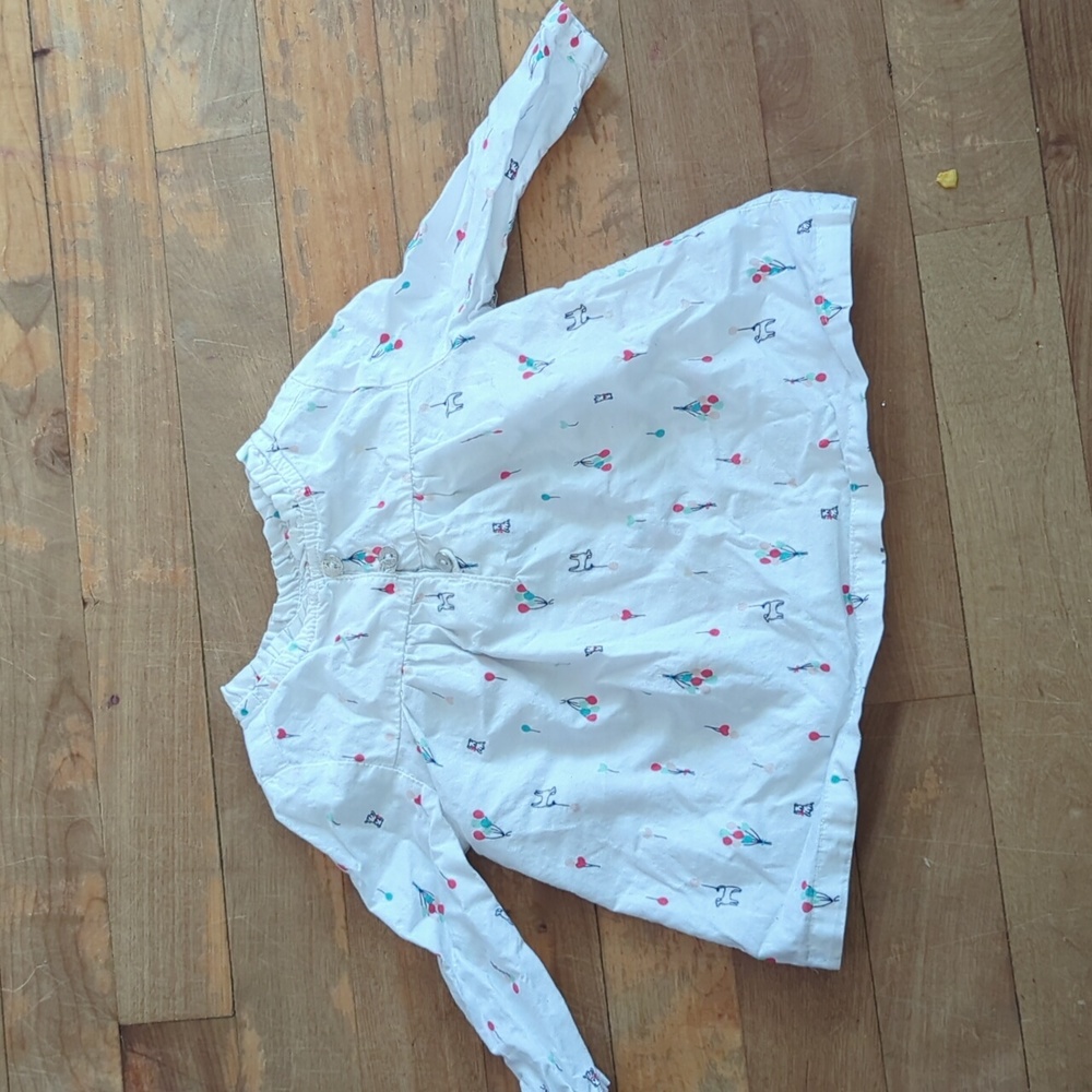 Puppies and Balloons